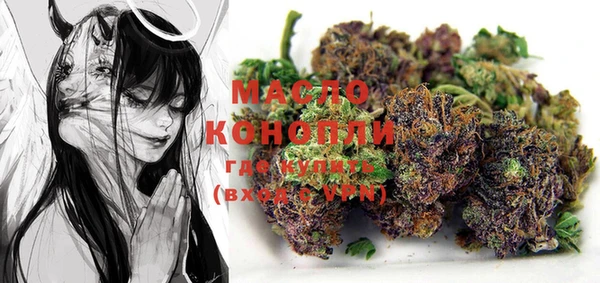 ECSTASY Богородицк