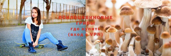 ECSTASY Богородицк