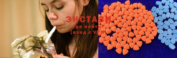 ECSTASY Богородицк