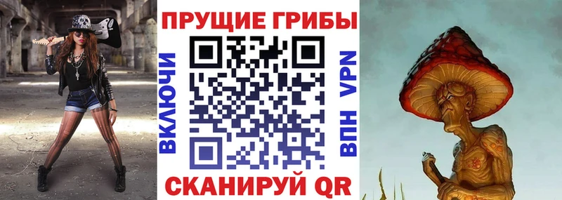 omg зеркало  Нерехта  Псилоцибиновые грибы мицелий  даркнет сайт 
